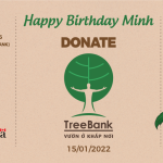 Thí điểm tổ chức “Birthday fundraising” cho TreeBank