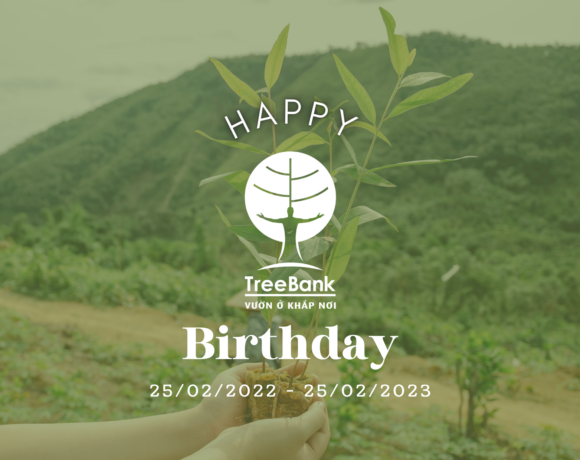 Chúc mừng sinh nhật 1 tuổi của TreeBank