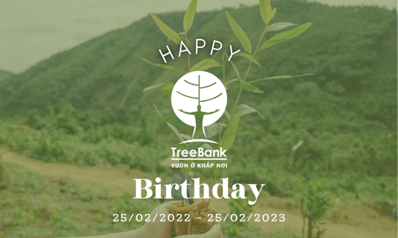 Chúc mừng sinh nhật 1 tuổi của TreeBank