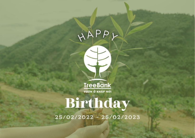 Chúc mừng sinh nhật 1 tuổi của TreeBank
