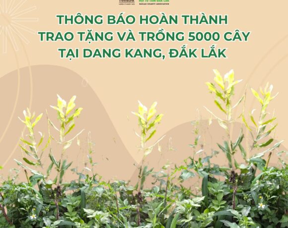 THÔNG BÁO ĐỒNG BÀO XÃ DANG KANG ĐÃ HOÀN THÀNH TRỒNG 5000 CÂY MÙA MƯA 2023