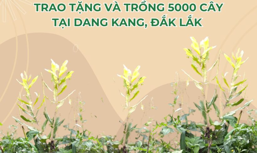 THÔNG BÁO ĐỒNG BÀO XÃ DANG KANG ĐÃ HOÀN THÀNH TRỒNG 5000 CÂY MÙA MƯA 2023