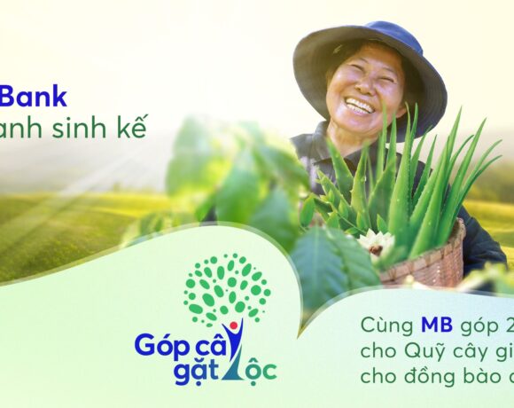 MB BANK ĐỒNG HÀNH GÓP CÂY TẠO SINH KẾ CHO ĐỒNG BÀO RAGLAI Ở NINH THUẬN