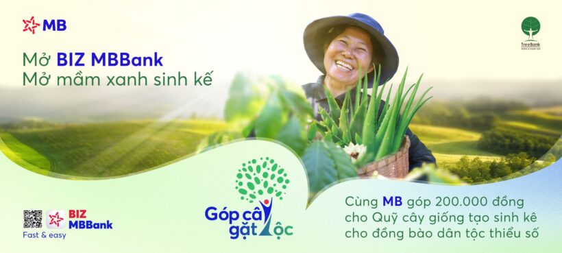 MB BANK ĐỒNG HÀNH GÓP CÂY TẠO SINH KẾ CHO ĐỒNG BÀO RAGLAI Ở NINH THUẬN