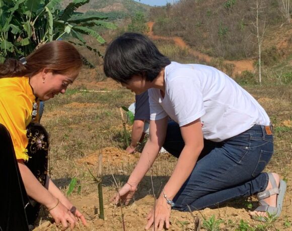 TÌM ĐỐI TÁC CHUYÊN ĐỀ CÂY SINH KẾ