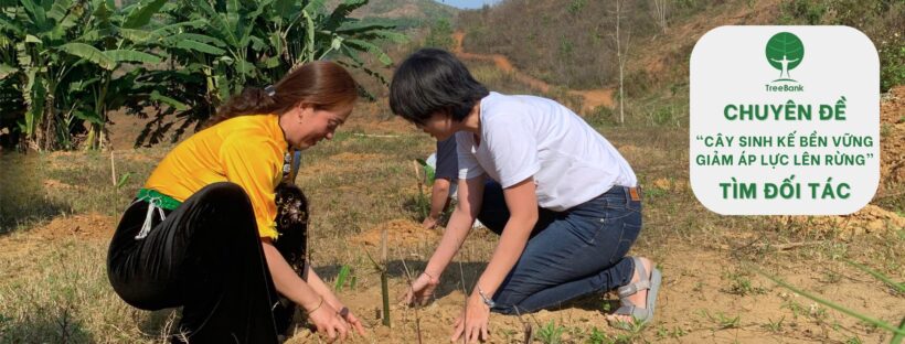 TÌM ĐỐI TÁC CHUYÊN ĐỀ CÂY SINH KẾ