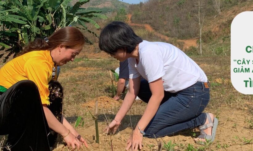 TÌM ĐỐI TÁC CHUYÊN ĐỀ CÂY SINH KẾ