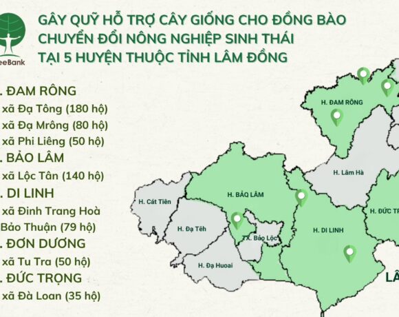 GÂY QUỸ HỖ TRỢ CÂY GIỐNG CHO ĐỒNG BÀO CHUYỂN ĐỔI NÔNG NGHIỆP SINH THÁI TẠI 5 HUYỆN THUỘC TỈNH LÂM ĐỒNG