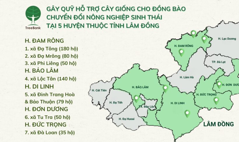 GÂY QUỸ HỖ TRỢ CÂY GIỐNG CHO ĐỒNG BÀO CHUYỂN ĐỔI NÔNG NGHIỆP SINH THÁI TẠI 5 HUYỆN THUỘC TỈNH LÂM ĐỒNG