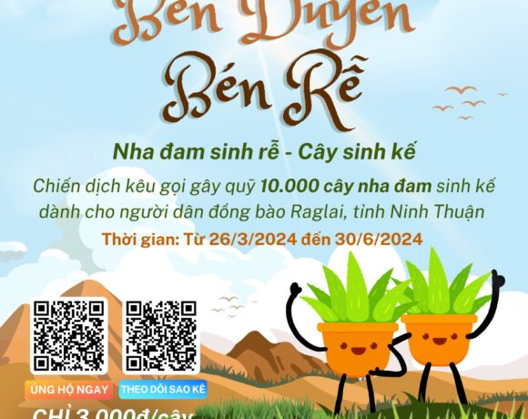 “BÉN DUYÊN BÉN RỄ” CÙNG TREEBANK