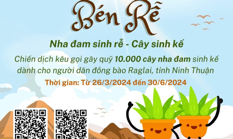 “BÉN DUYÊN BÉN RỄ” CÙNG TREEBANK