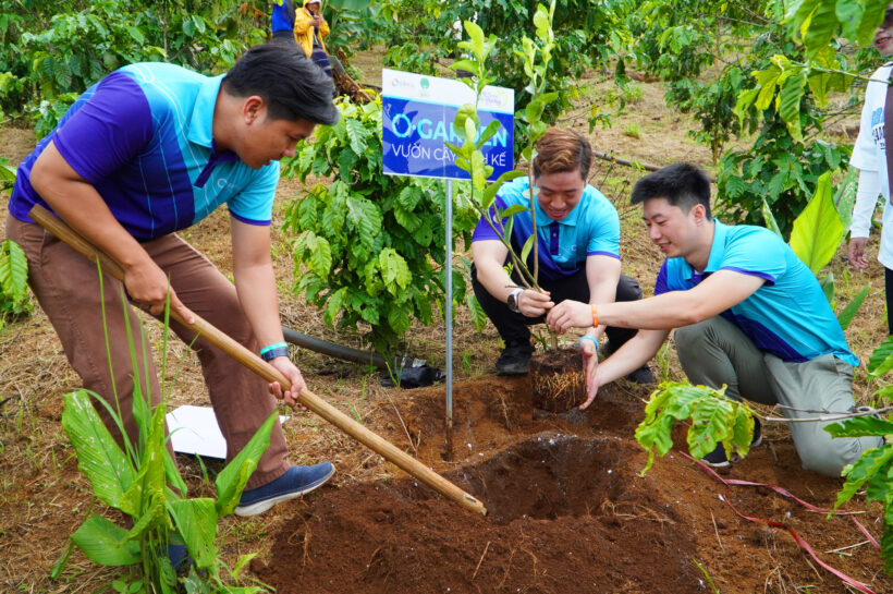 2024 – DỰ ÁN HỖ TRỢ CÂY GIỐNG CHO ĐỒNG BÀO 5 HUYỆN Ở LÂM ĐỒNG CHUYỂN ĐỔI NÔNG NGHIỆP SINH THÁI