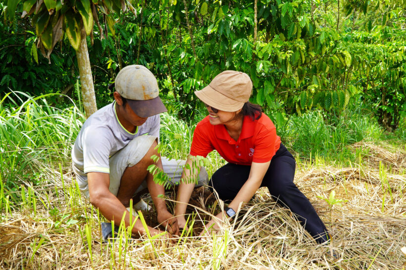 2024 – DỰ ÁN HỖ TRỢ CÂY GIỐNG CHO ĐỒNG BÀO 5 HUYỆN Ở LÂM ĐỒNG CHUYỂN ĐỔI NÔNG NGHIỆP SINH THÁI