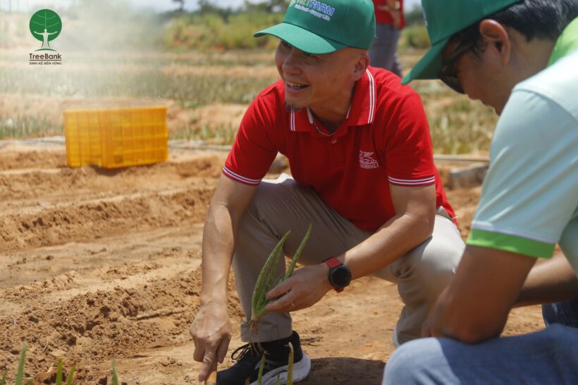 GENERALI VIETNAM TRAO TẶNG CÂY GIỐNG NHA ĐAM CHO ĐỒNG BÀO RAGLAI Ở NINH THUẬN