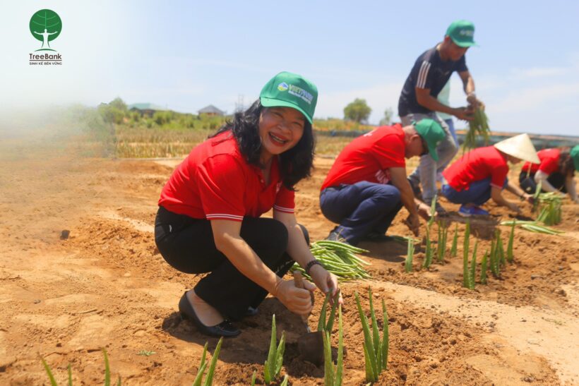 GENERALI VIETNAM TRAO TẶNG CÂY GIỐNG NHA ĐAM CHO ĐỒNG BÀO RAGLAI Ở NINH THUẬN