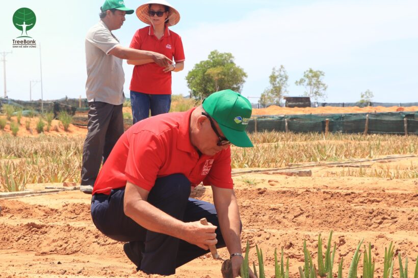 GENERALI VIETNAM TRAO TẶNG CÂY GIỐNG NHA ĐAM CHO ĐỒNG BÀO RAGLAI Ở NINH THUẬN