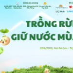 CÙNG TREEBANK “TRỒNG RỪNG GIỮ NƯỚC MÙA MƯA” TẠI TÂY NINH HƯỞNG ỨNG NGÀY MÔI TRƯỜNG THẾ GIỚI
