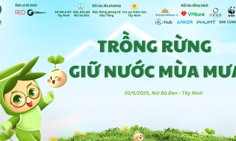 CÙNG TREEBANK “TRỒNG RỪNG GIỮ NƯỚC MÙA MƯA” TẠI TÂY NINH HƯỞNG ỨNG NGÀY MÔI TRƯỜNG THẾ GIỚI