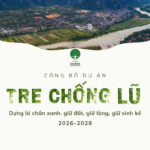 CÔNG BỐ DỰ ÁN “TRE CHỐNG LŨ” GIAI ĐOẠN 2026 – 2028