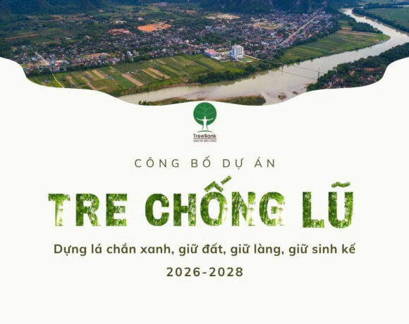 CÔNG BỐ DỰ ÁN “TRE CHỐNG LŨ” GIAI ĐOẠN 2026 – 2028