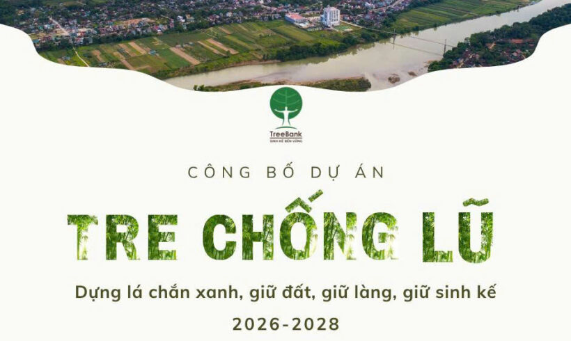 CÔNG BỐ DỰ ÁN “TRE CHỐNG LŨ” GIAI ĐOẠN 2026 – 2028 CÔNG BỐ DỰ ÁN “TRE CHỐNG LŨ” GIAI ĐOẠN 2026 – 2028