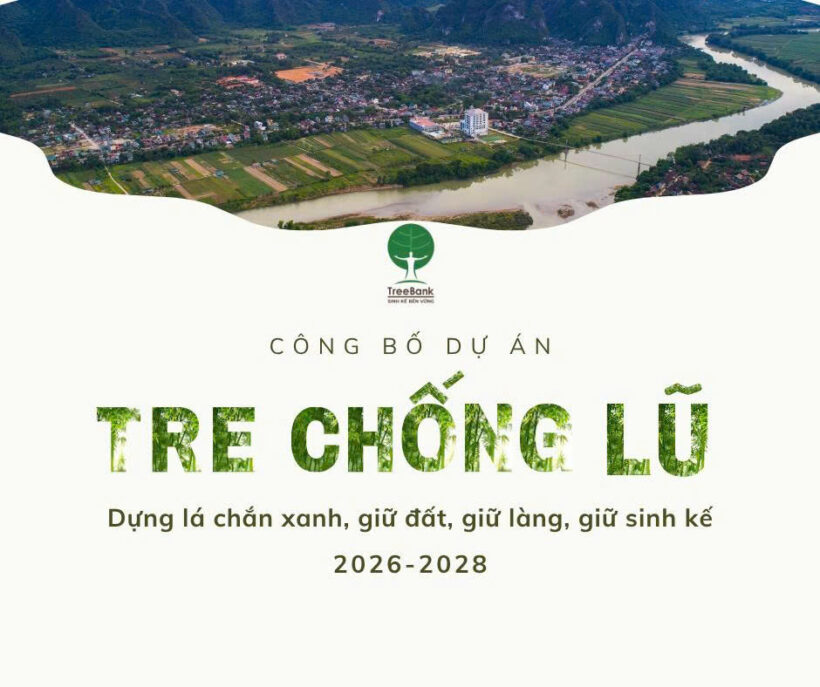 CÔNG BỐ DỰ ÁN “TRE CHỐNG LŨ” GIAI ĐOẠN 2026 – 2028 CÔNG BỐ DỰ ÁN “TRE CHỐNG LŨ” GIAI ĐOẠN 2026 – 2028