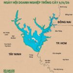 NGÀY HỘI DOANH NGHIỆP TRỒNG CÂY: GIỮ NƯỚC TRÁI TIM VÙNG ĐÔNG NAM BỘ