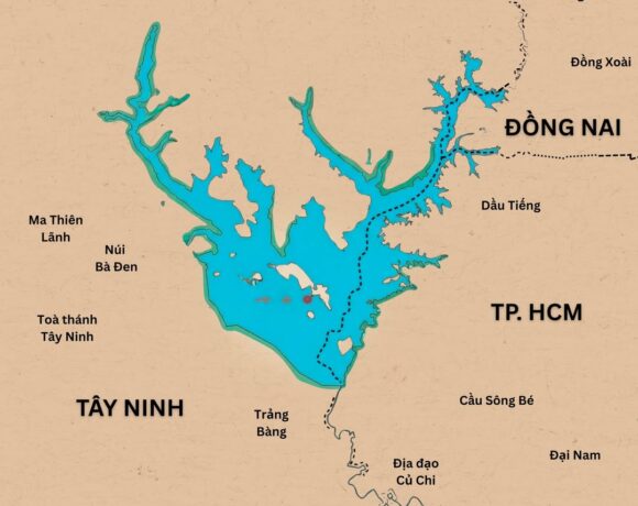 NGÀY HỘI DOANH NGHIỆP TRỒNG CÂY: GIỮ NƯỚC TRÁI TIM VÙNG ĐÔNG NAM BỘ NGÀY HỘI DOANH NGHIỆP TRỒNG CÂY: GIỮ NƯỚC TRÁI TIM VÙNG ĐÔNG NAM BỘ