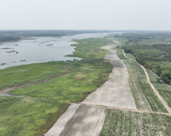 NƯỚC KHÔNG MẤT ĐI, NƯỚC CHỈ KHÔNG CÒN CHỖ Ở