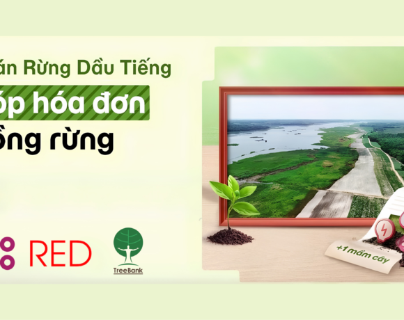 GÓP HOÁ ĐƠN TRỒNG RỪNG CÙNG MOMO & TREEBANK