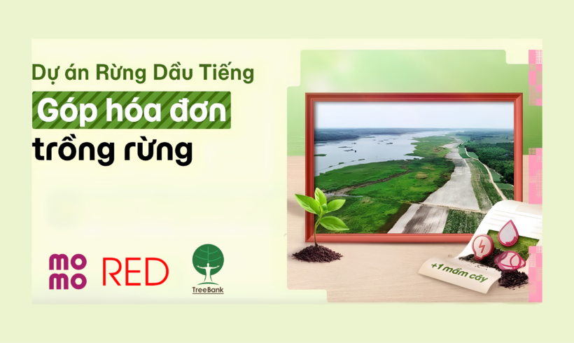 GÓP HOÁ ĐƠN TRỒNG RỪNG CÙNG MOMO & TREEBANK GÓP HOÁ ĐƠN TRỒNG RỪNG CÙNG MOMO & TREEBANK